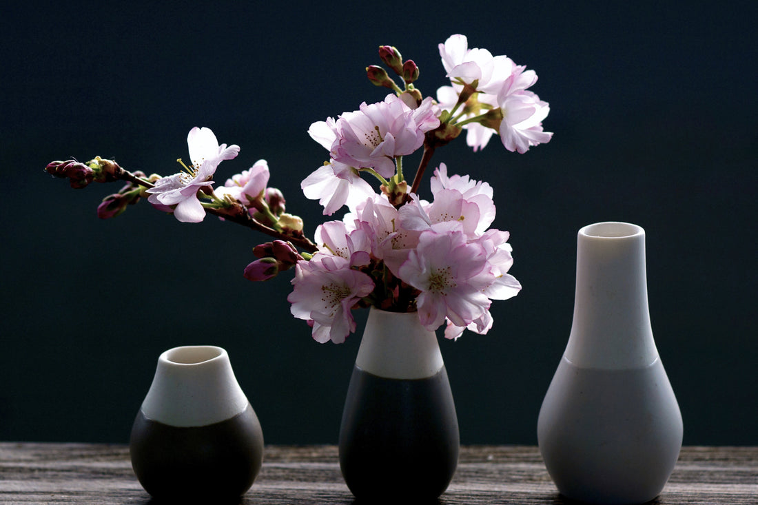 Japandi Vibes: Where Minimalism Meets Serenity