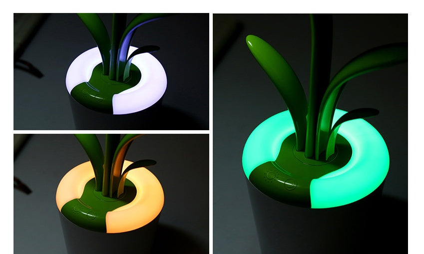 LED Table Lamp