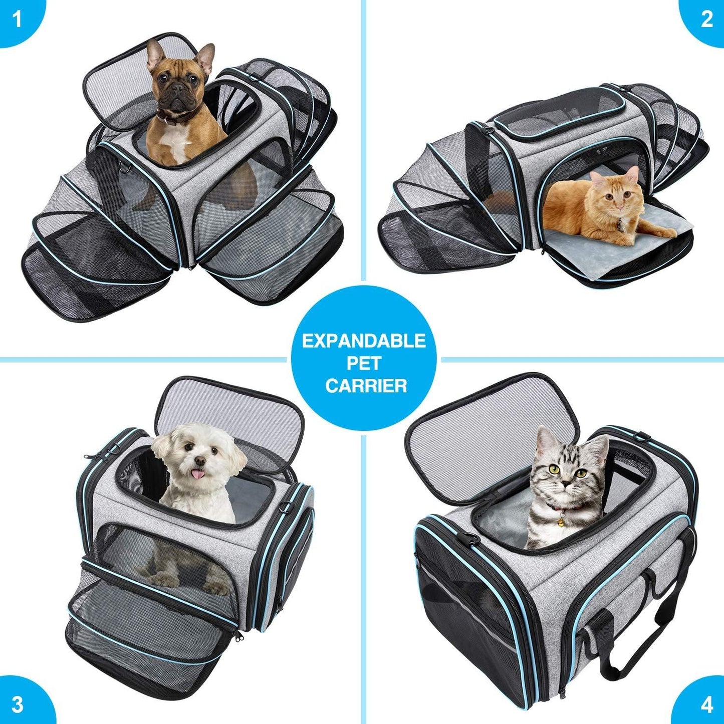 Pet Carrier