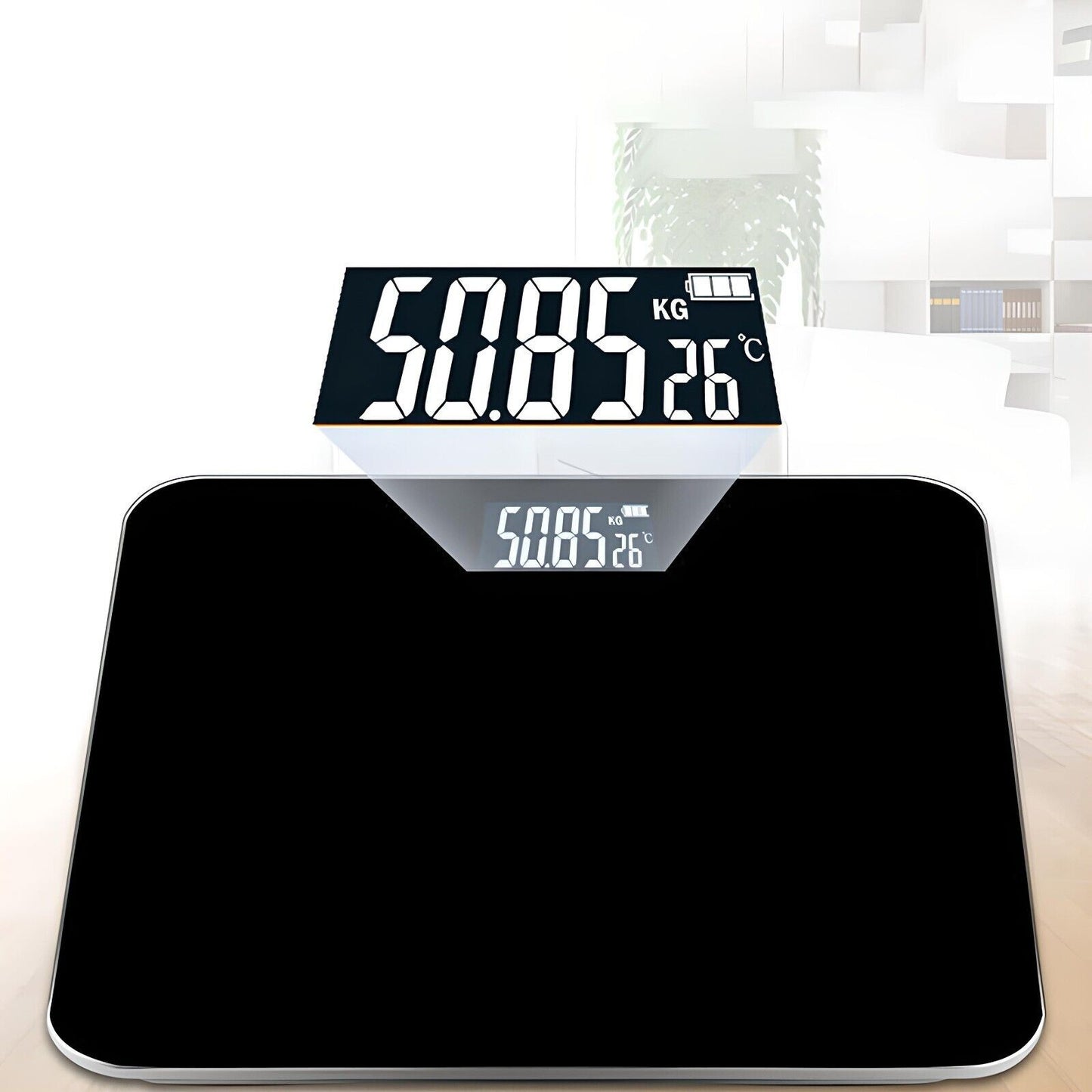Digital Scale