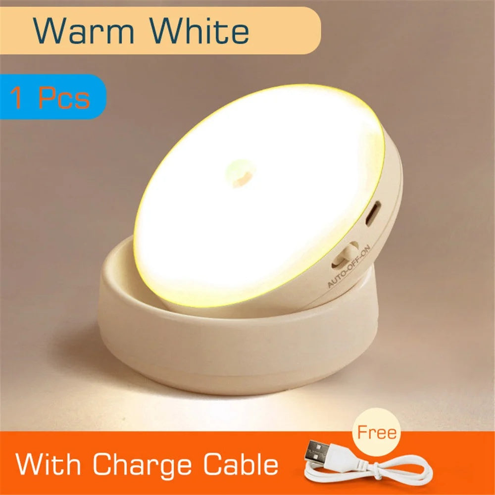 Motion Sensor LED Night Light